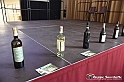 VBS_9104 - Seminario Fassona Piemontese IGP